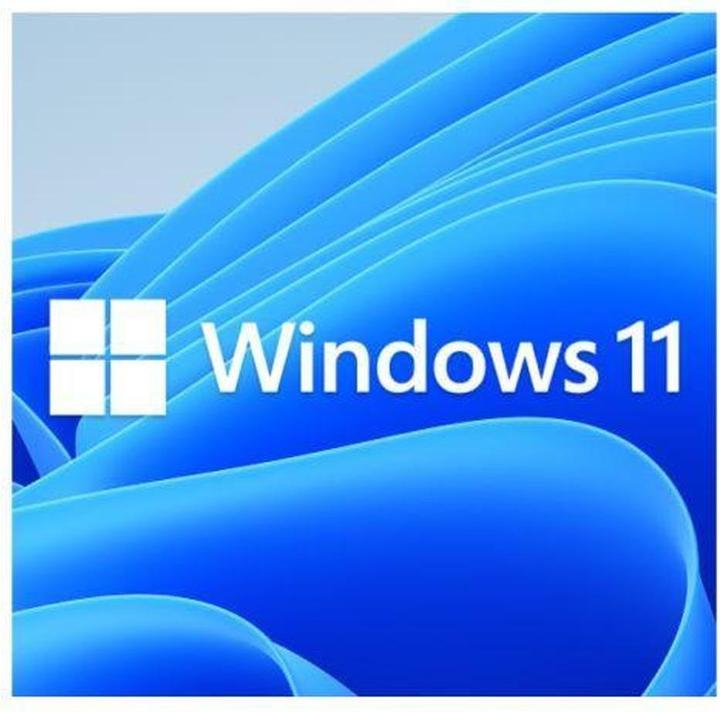 Microsoft Win Pro 11 64Bit Eng Intl 1pk DSP OEI DVD